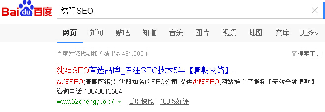 沈阳SEO排名